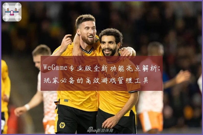 WeGame专业版全新功能亮点解析：玩家必备的高效游戏管理工具